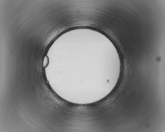 X0000110900834200907161549