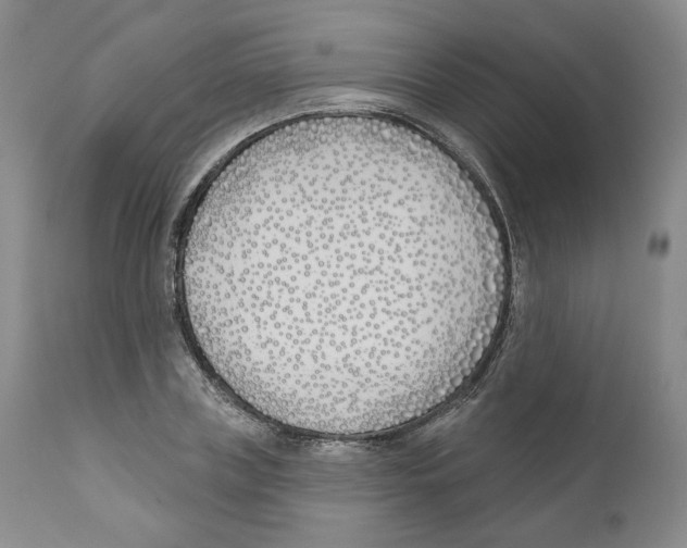 X0000110900835200907161549