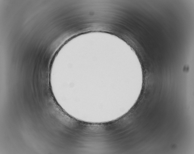 X0000110900836200907161549