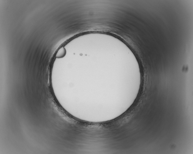 X0000110900838200907161549