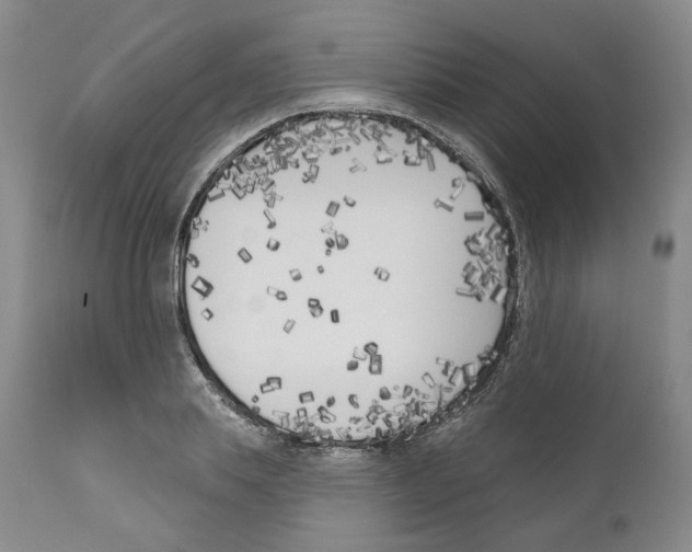 X0000110900839200907161549