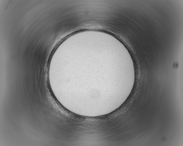 X0000110900840200907161549