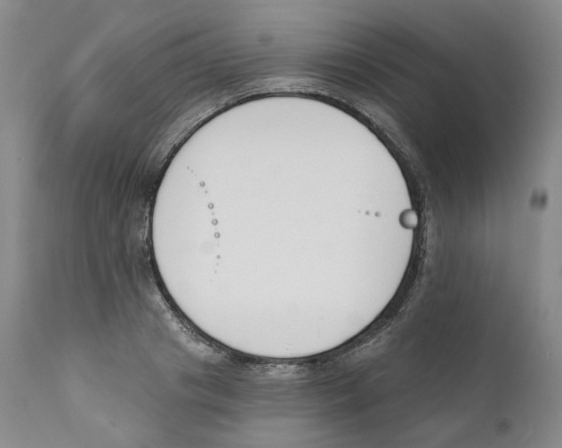 X0000110900841200907161549