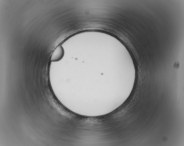 X0000110900842200907161549