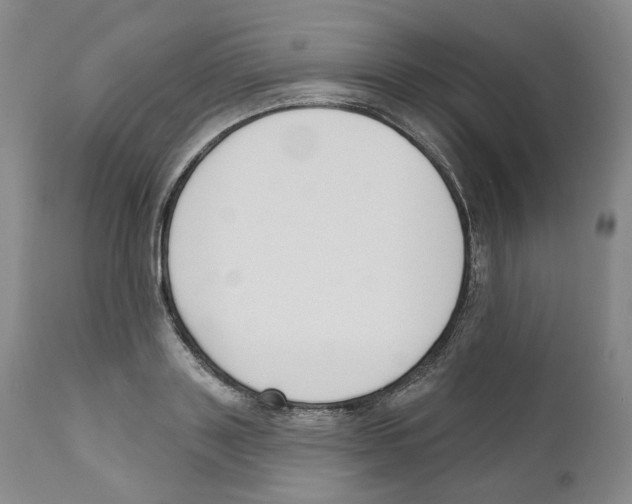 X0000110900843200907161549