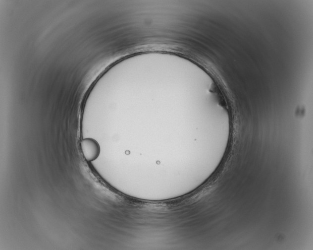 X0000110900844200907161549