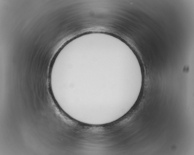 X0000110900845200907161549