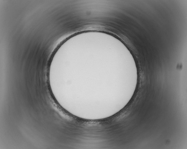 X0000110900846200907161549