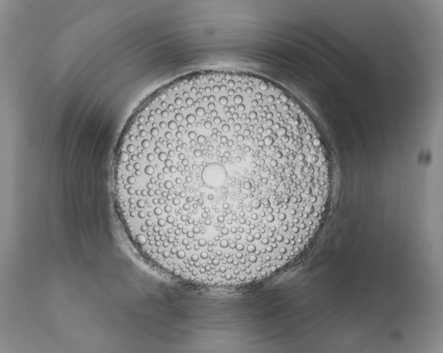 X0000110900848200907161549