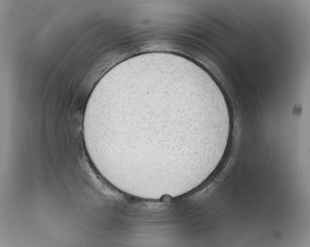 X0000110900849200907161549