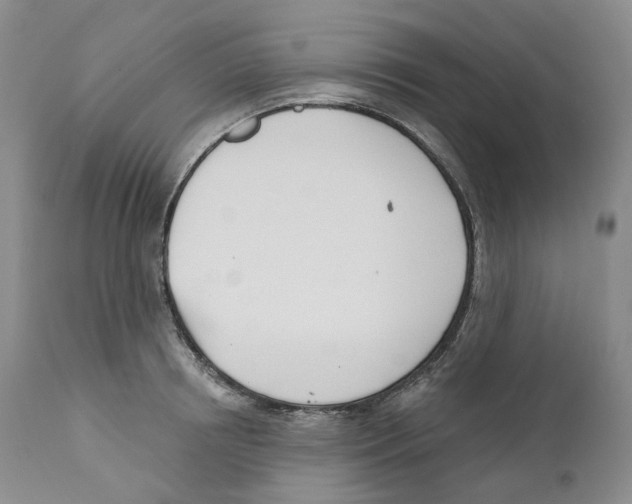 X0000110900850200907161549