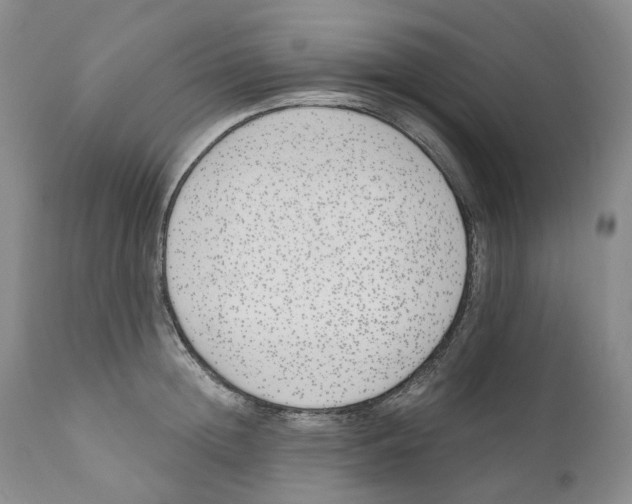 X0000110900852200907161549