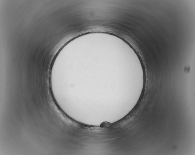 X0000110900853200907161549