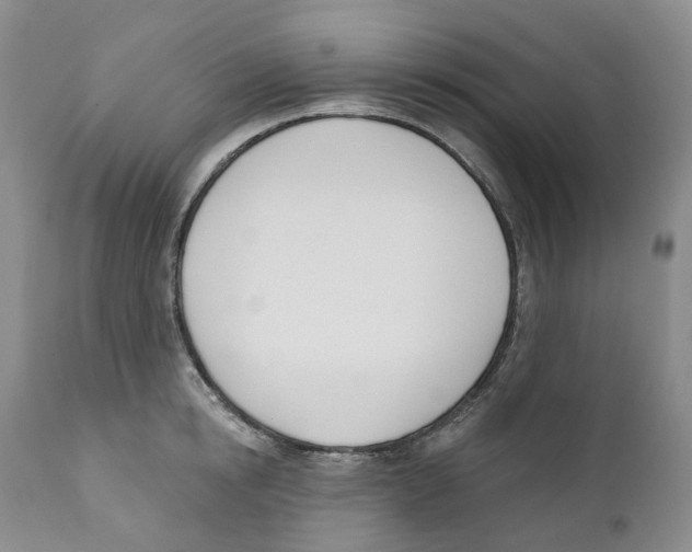 X0000110900854200907161549