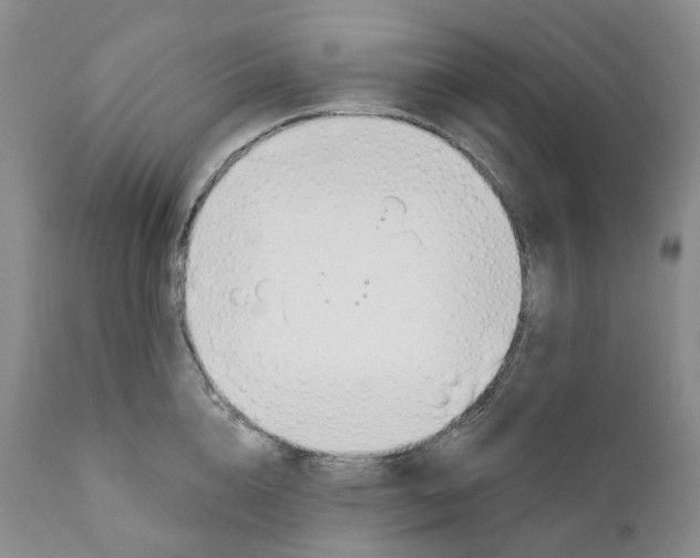 X0000110900856200907161549