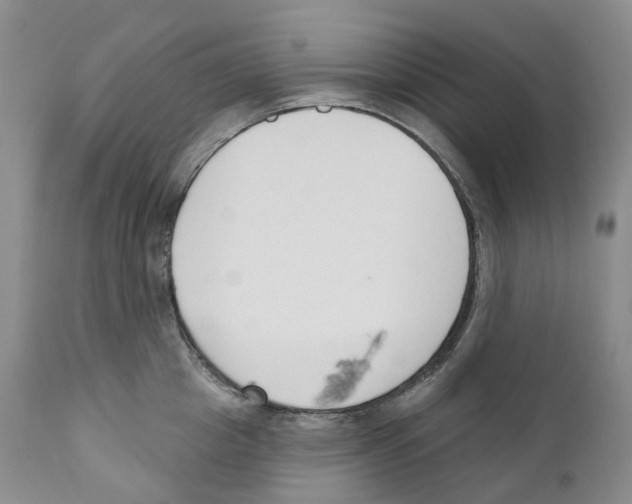 X0000110900857200907161549