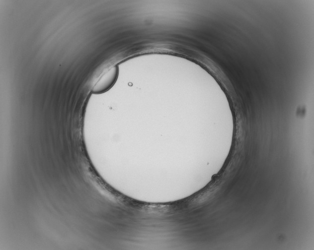 X0000110900858200907161549