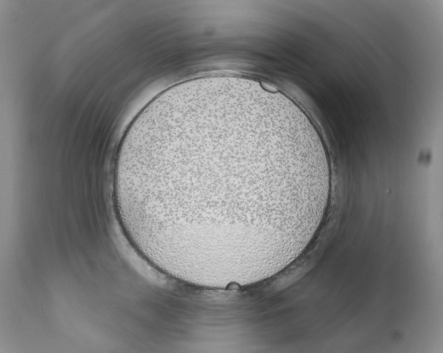 X0000110900859200907161549