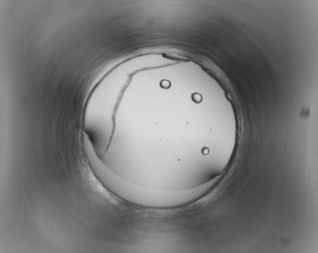 X0000110900860200907161549