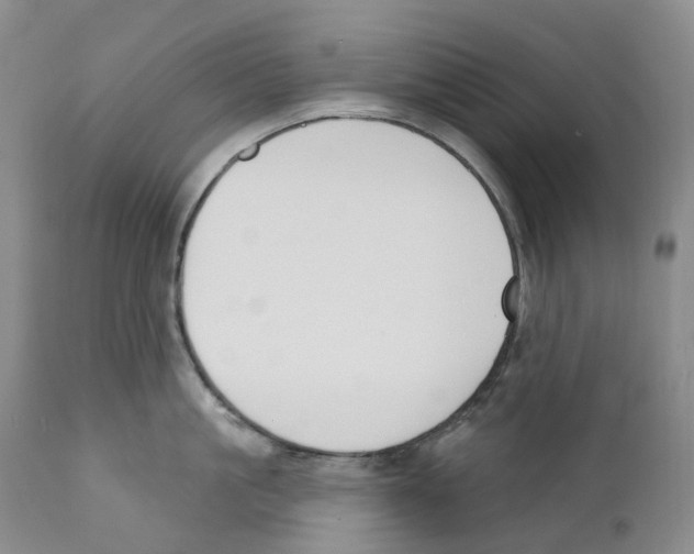 X0000110900861200907161549