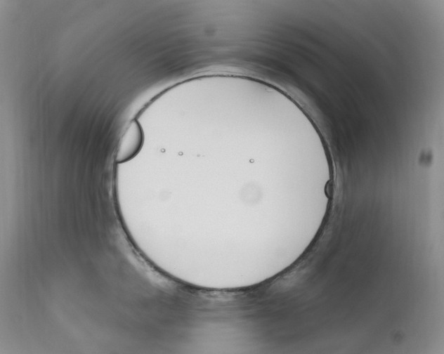 X0000110900862200907161549