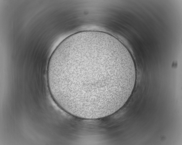 X0000110900863200907161549