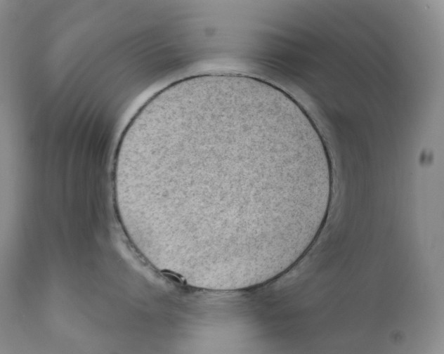 X0000110900864200907161549