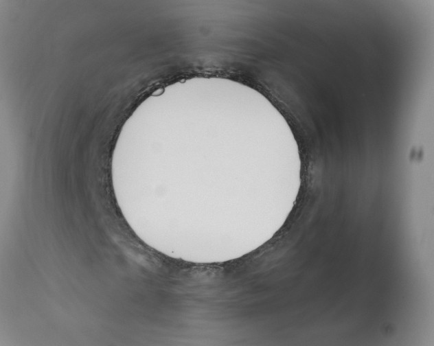 X0000110900865200907161549