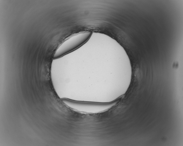 X0000110900868200907161549