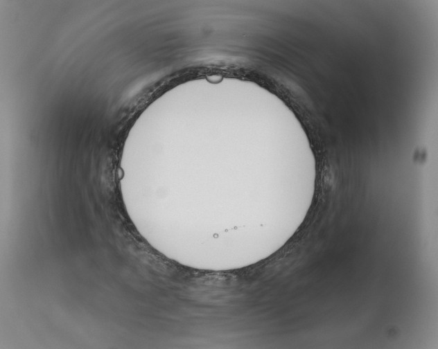 X0000110900869200907161549