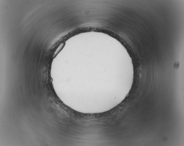 X0000110900872200907161549