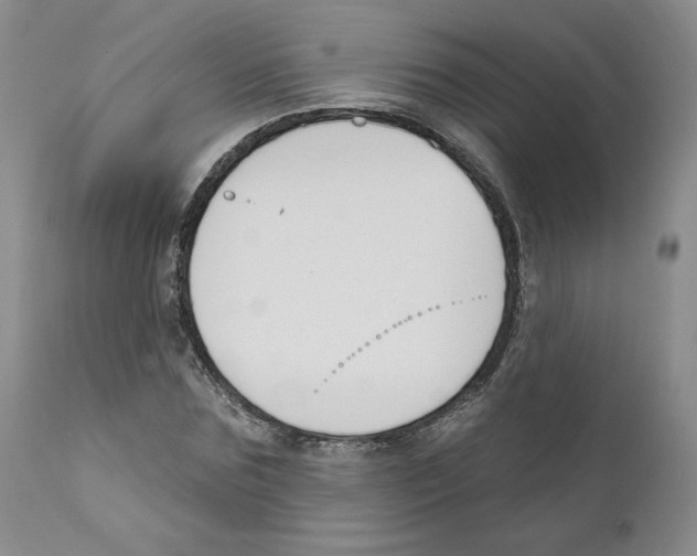 X0000110900875200907161549