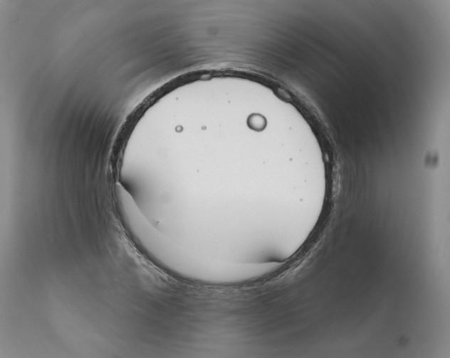 X0000110900876200907161549