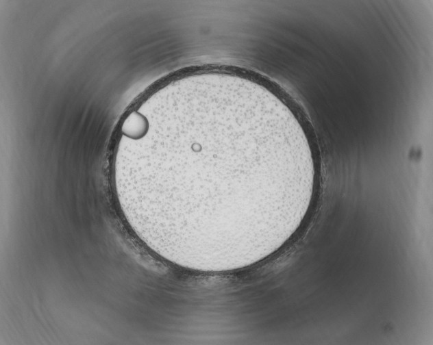 X0000110900879200907161549