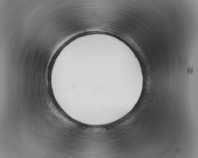 X0000110900884200907161548