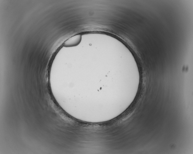 X0000110900885200907161548