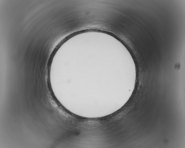 X0000110900888200907161548