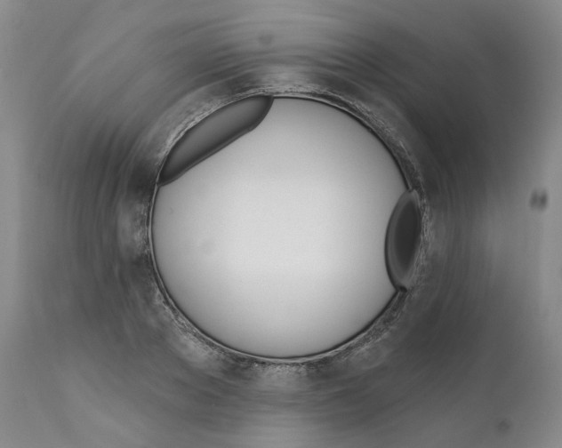 X0000110900889200907161548