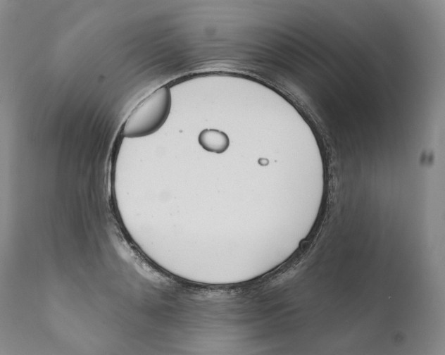 X0000110900892200907161548