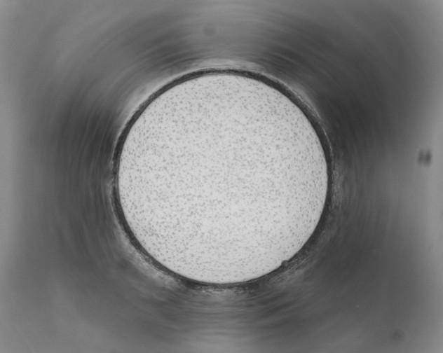 X0000110900895200907161548