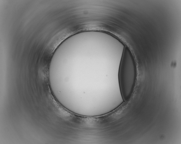 X0000110900897200907161548