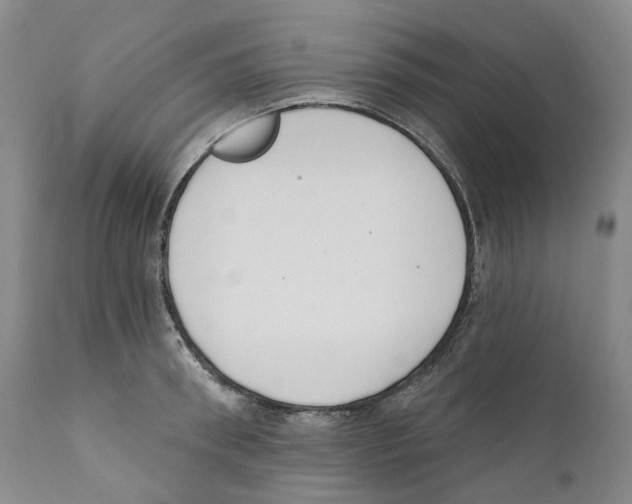 X0000110900898200907161548