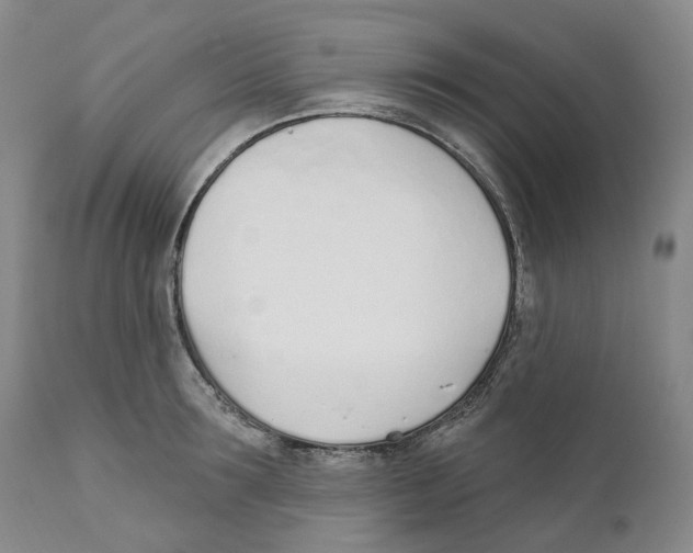 X0000110900899200907161548