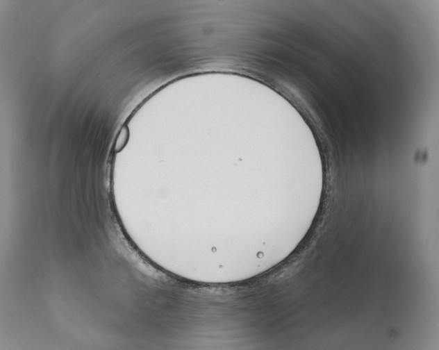 X0000110900900200907161548