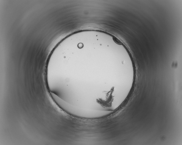 X0000110900901200907161548