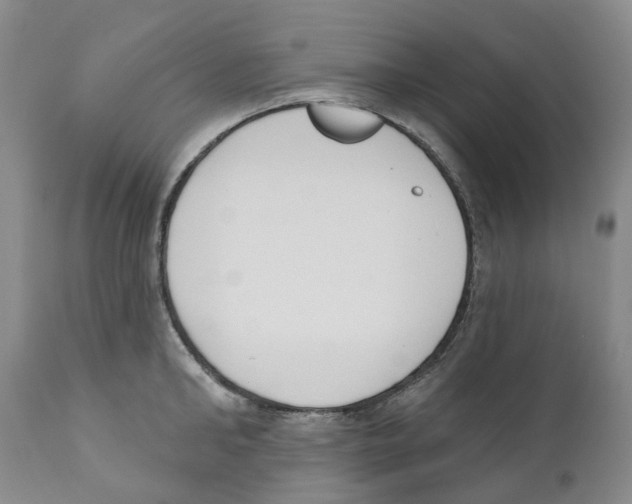 X0000110900902200907161548