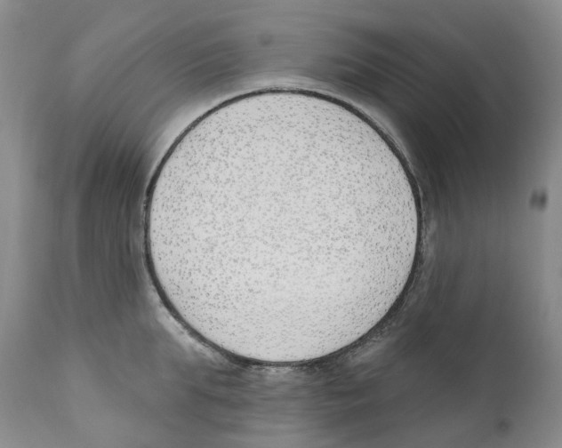 X0000110900903200907161548