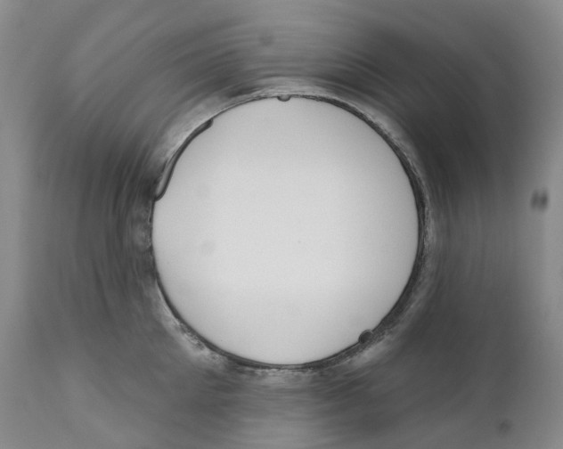 X0000110900905200907161548