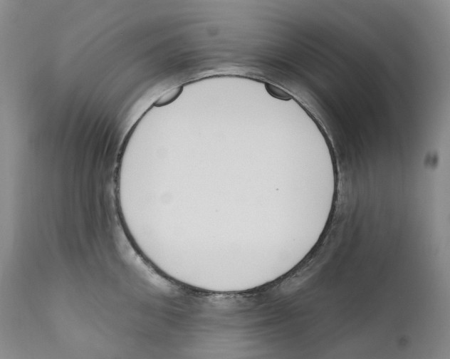 X0000110900906200907161548