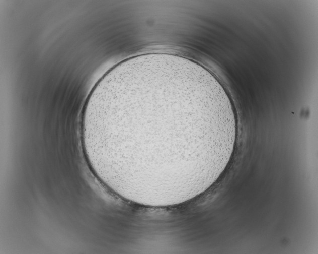 X0000110900907200907161548